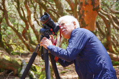 森と水が奏でる豊かなる情景～写真家・新井幸人の世界～【再放送】